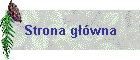 Strona główna