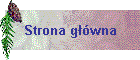 Strona gwna